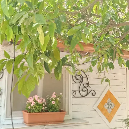 Green Cottage