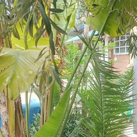 Vakantiehuis Green Cottage *